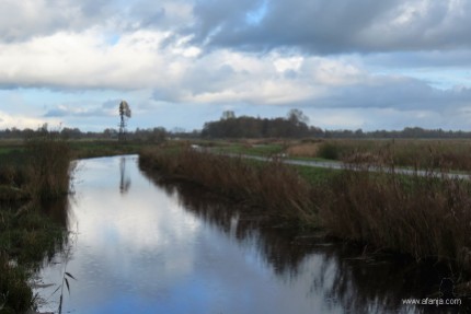 6 november 2019 - zicht op een windmotor in de J.D.polder
