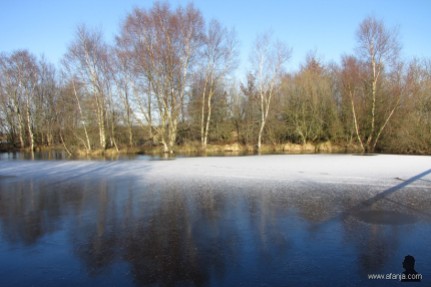 winter in De Deelen, 1 februari 2012