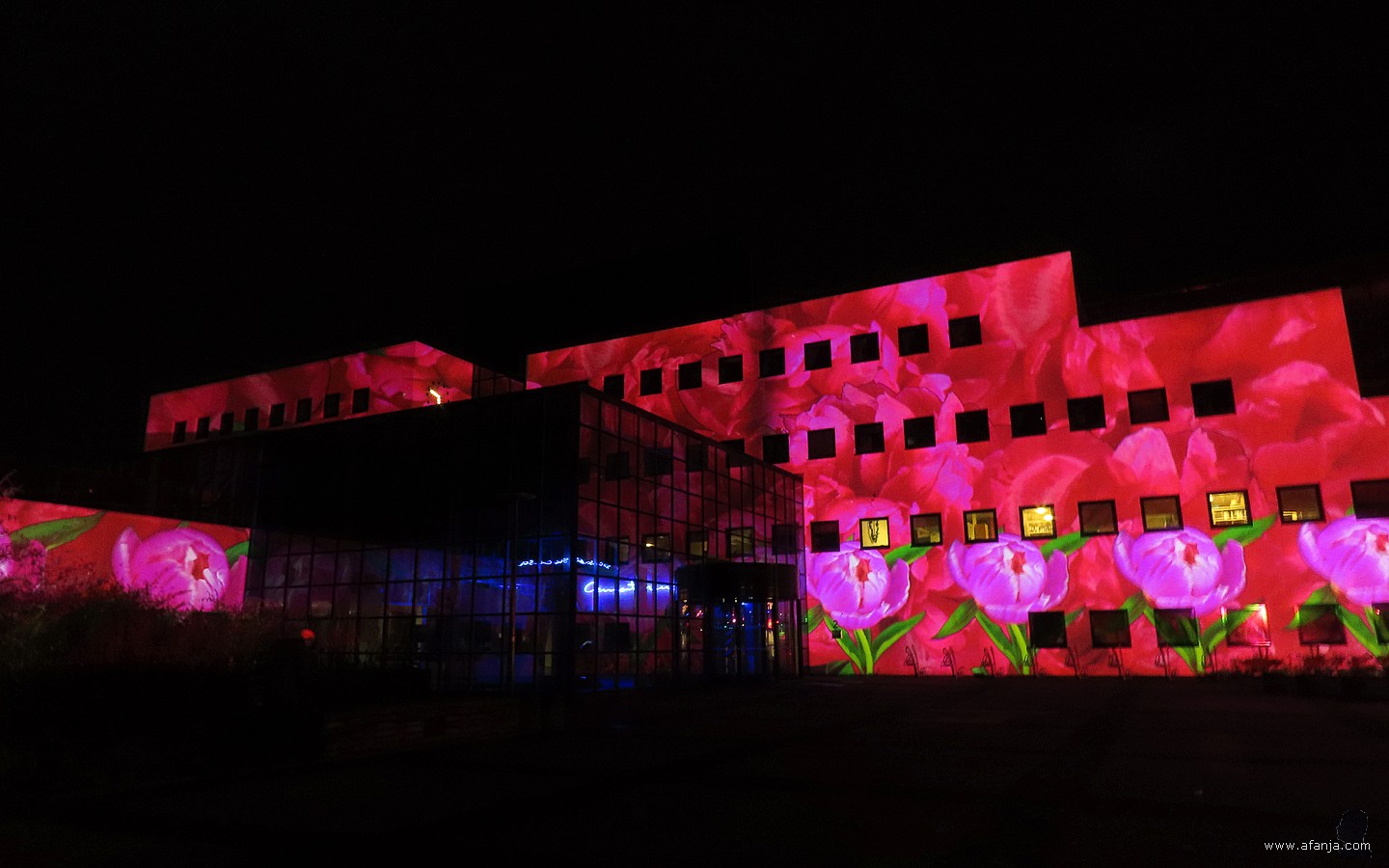 Tijdens het lichtfestival 'Licht op Drachten' werd op het gemeentehuis van Smallingerland een bloemrijke lichtshow vertoond