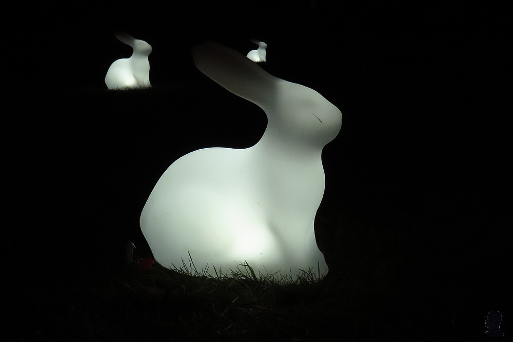 Lichtfestival Drachten - Field of Moon Gazing Rabbits - AM Yang en Nelly Blessinga