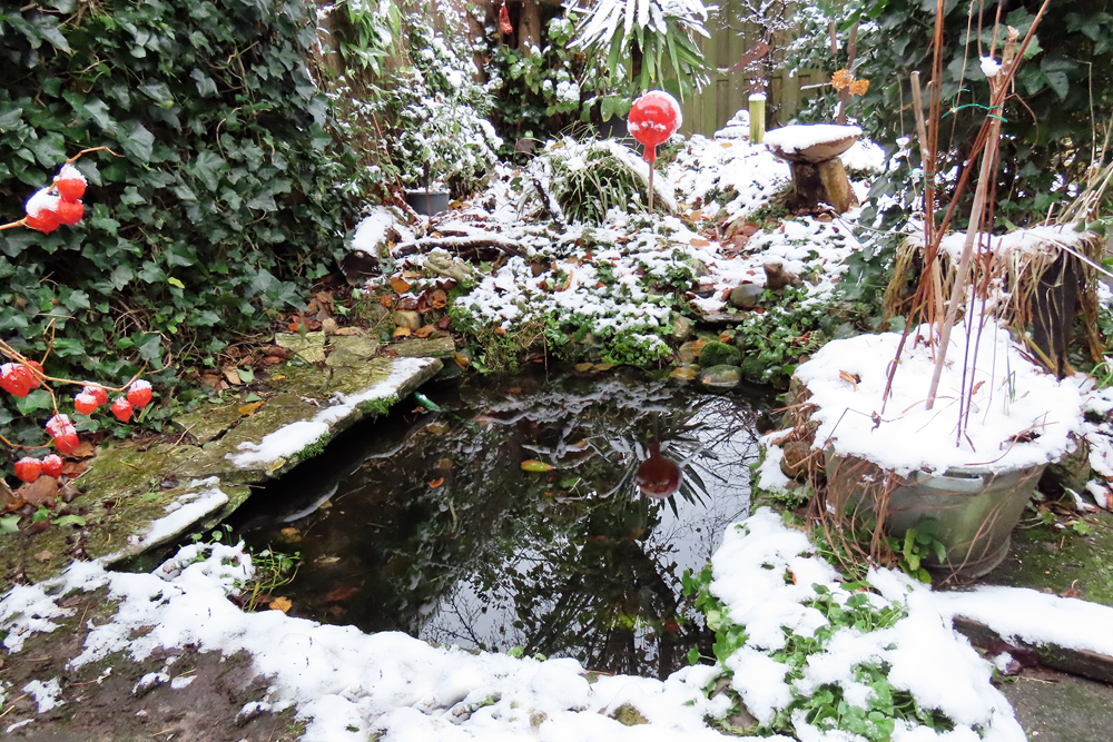 4 december 9:30 uur, de meeste sneeuw in de tuin is alweer gesmolten