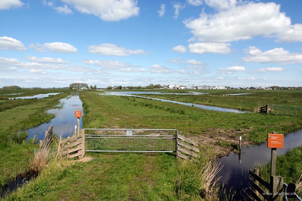 een rondblik over de Surhuizumermieden - in de verte het agrarisch-industrieel complex van Friesland-Campina in Gerkesklooster-Stroobos